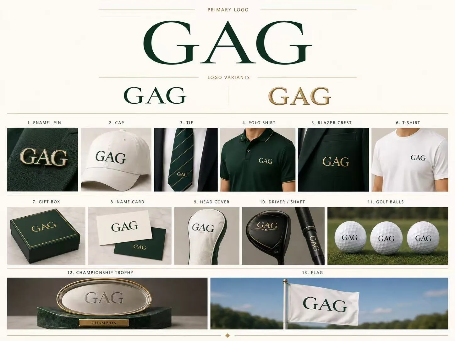 Primary logo and applications